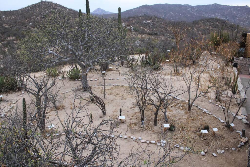 فيلا Rancho Campestre El Ancon لاباز المظهر الخارجي الصورة